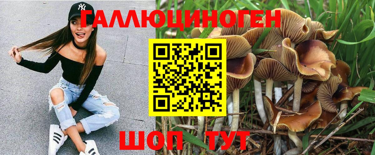 Галлюциногенные грибы Cubensis  Вход с VPN  Галлюциногенные грибы ЛСД  Тула 
