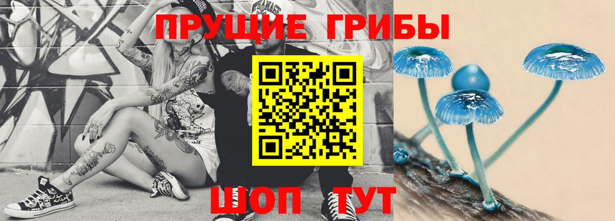 Галлюциногенные грибы GOLDEN TEACHER Тула